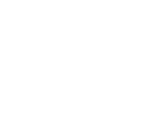 iron-door-icon